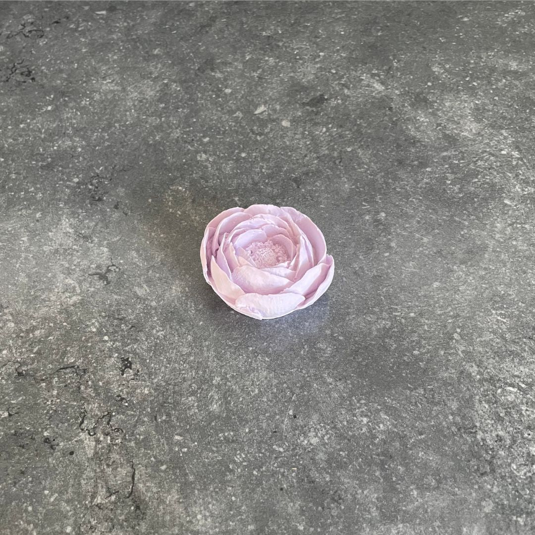Blumen - Rose, Nelke & Pfingstrose