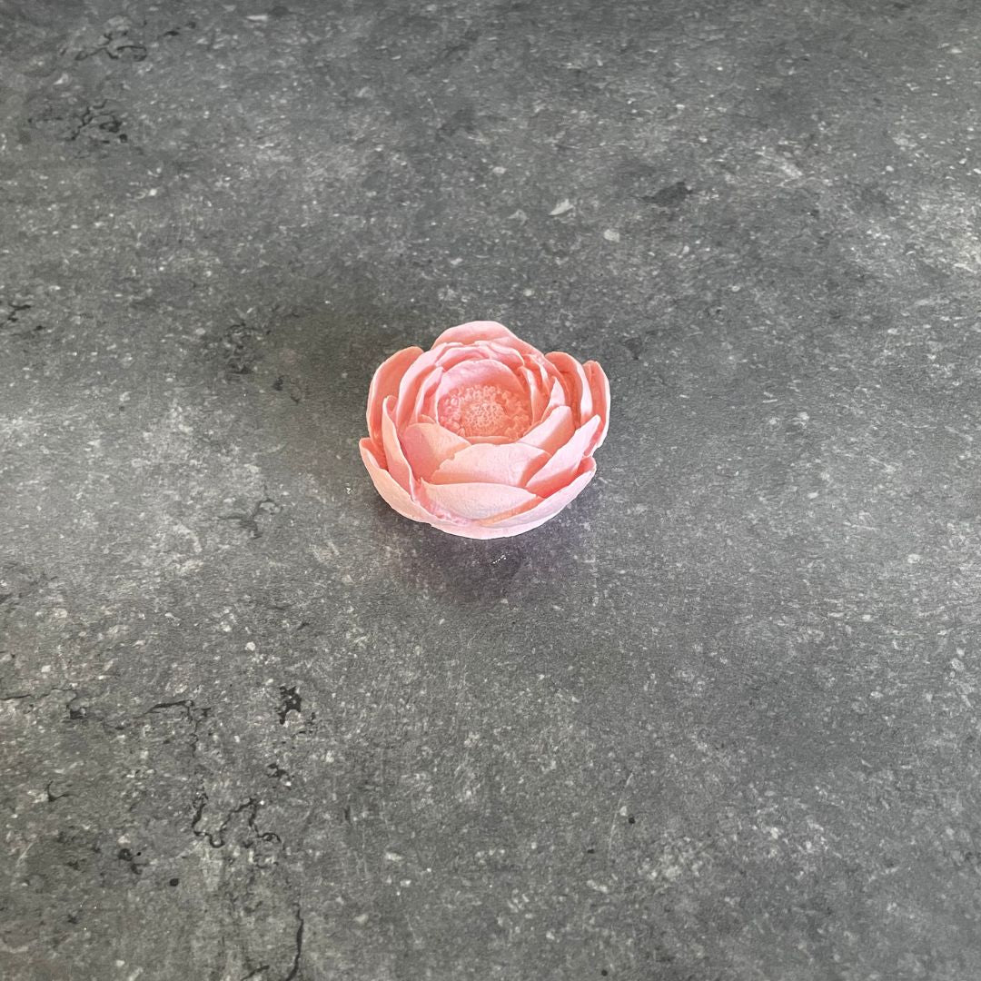 Blumen - Rose, Nelke & Pfingstrose