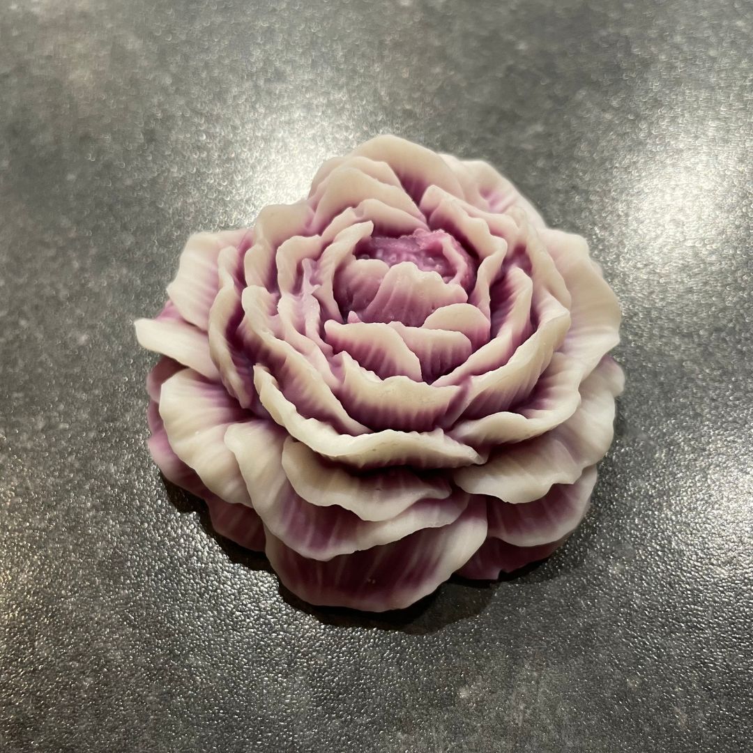 Pfingstrose "Stille Eleganz"