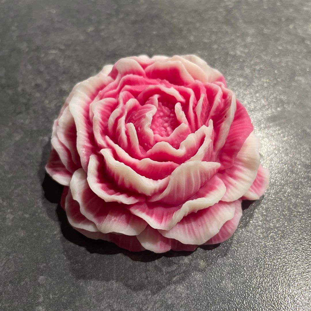 Pfingstrose "Zarte Eleganz"