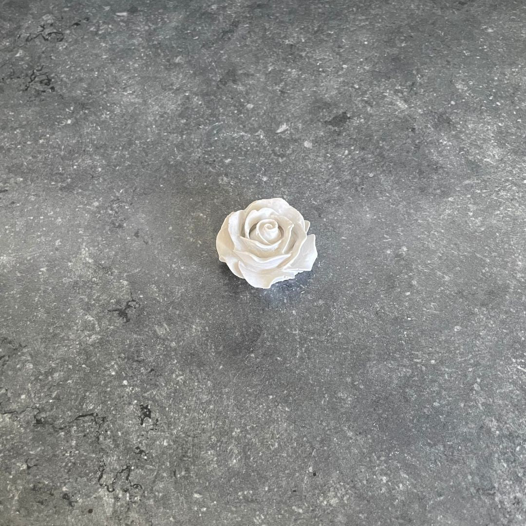 Blumen - Rose, Nelke & Pfingstrose
