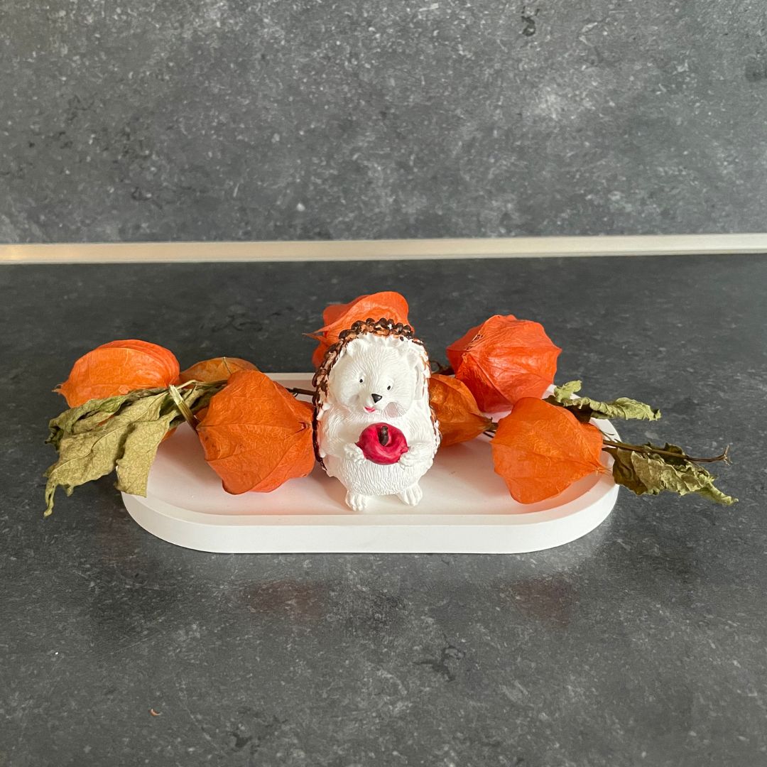 Physalis am Zweig