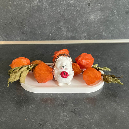 Physalis am Zweig