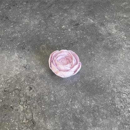 Blumen - Rose, Nelke & Pfingstrose