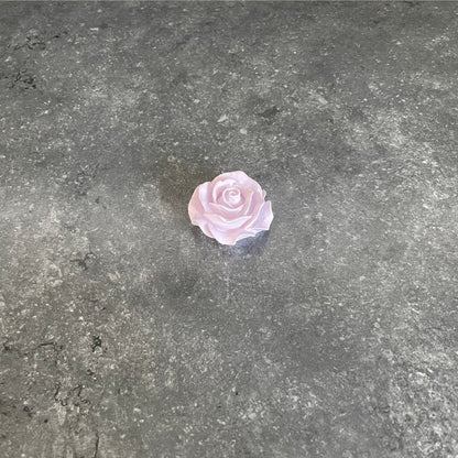Blumen - Rose, Nelke & Pfingstrose