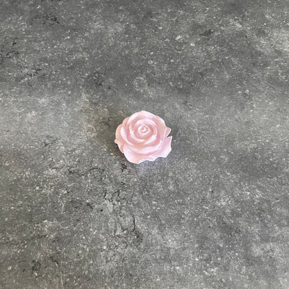 Blumen - Rose, Nelke & Pfingstrose