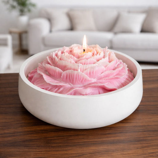 Pfingstrose "Stille Eleganz"